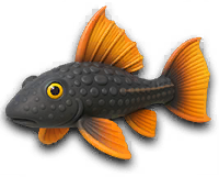 Lakehouse MR fish
