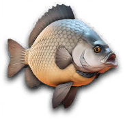 Lakehouse LR fish