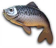 Lakehouse MR fish